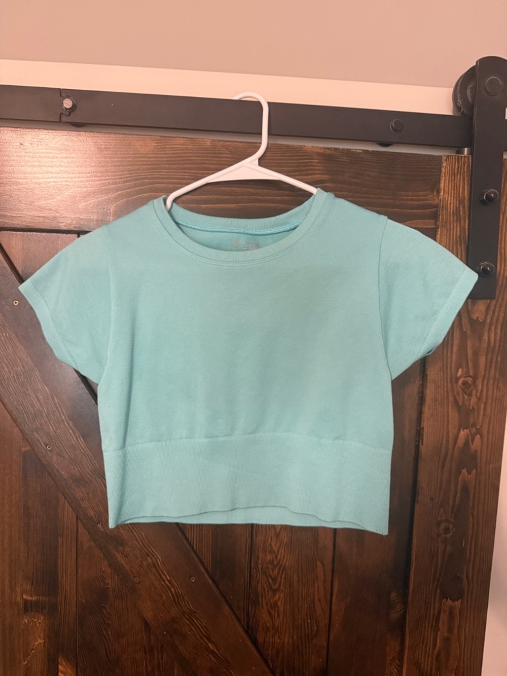 aerie Light Aqua Short Sleeve Crop Top